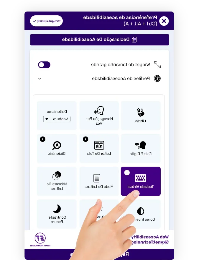 Brazil Portuguese website accessibility solution